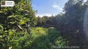 Tympaki Kreta, Tympaki Zitrusplantage 4.000 m² Grundstück kaufen